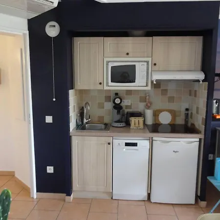 Ravissant T2 Avec Piscine, Climatisation Et Parking - Proche Plages Et Port - Fr-1-768-19 *